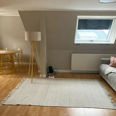 Homie Schiestlstrasse - Moderne Dachgeschosswohnung Mit 2 Schlafzimmern * Würzburg